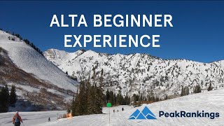 Is Alta Good for Beginners [upl. by Artaed]