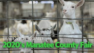 The 104th Manatee County Fair Has Begun [upl. by Barker476]