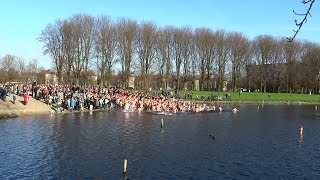 Nieuwjaarsduik Amsterdam Sloterplas 2016 [upl. by Montford]