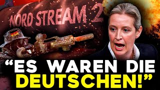 BLITZMELDUNG Alice Weidel LÜFTET GEHEIMNIS wer Nord Stream ZERSTÖRT hat [upl. by Niletac317]