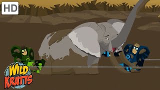 Exciting Creature Rescues  Endangered Species  Wild Kratts [upl. by Adiraf347]