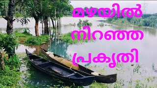 മഴവെള്ള ഭീകരത [upl. by Annaet]