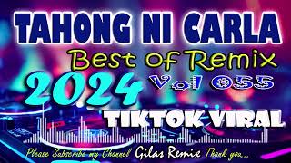 Tahong Ni Carla Best of Remix 2024  Tiktok Viral Vol 055 [upl. by Adala302]