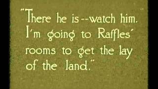 Raffles the Amateur Cracksman 1917 [upl. by Matelda]