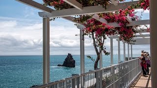 Walking in Funchal Madeira [upl. by Ciel14]