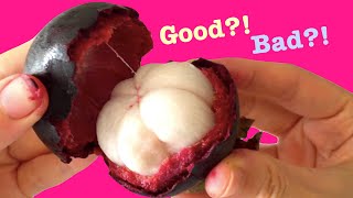 Without opening How to tell apart a sweet Mangosteen from a bad one  Măng cụt  Manggis [upl. by Lodhia]