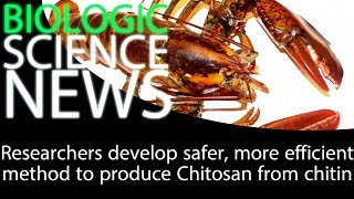 Science News  Researchers develop safer more efficient method to produce Chitosan from chitin [upl. by Zachar148]