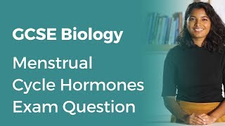 Menstrual Cycle Hormones Exam Question  91 GCSE Biology  OCR AQA Edexcel [upl. by Clive]