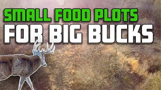 Poor Mans Food Plot Transformation NO BIG EQUIPMENT [upl. by Rollins437]