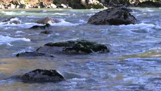 Flowing River 1080p HD Without Music [upl. by Norret]