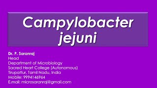 Campylobacter jejuni [upl. by Sirtaeb]