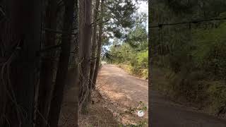 Toda la acción RAW de Rere2 del WRC BioBio 2024 🏁🔥 rally wrcbiobio2024 wrcchile [upl. by Netsreik745]