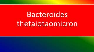 bacteroides thetaictaomicron [upl. by Ellenuahs]