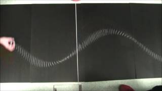 Transverse Waves on a Slinky [upl. by Mungovan]