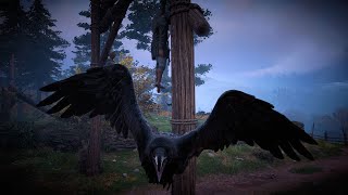 How to Get Raven Feathers Raven Location Assassins Creed Valhalla [upl. by Tihom]