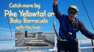 Redcliffe Fishing I Catch Big Pike Yellowtail or Baby Barracuda [upl. by Sliwa]