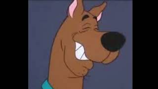 Scooby Doo Laugh [upl. by Kcarb]