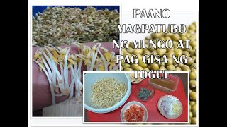 Paano mag patubo ng MUNG BEANS SPROUT AT HOME at simpleng GINISANG TOGUE [upl. by Niven]