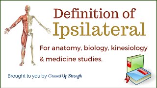 Ipsilateral Definition Anatomy Kinesiology Medicine [upl. by Hogg]