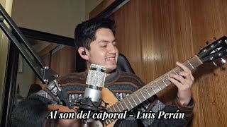 Al son del caporal  Luis Perán [upl. by Ynohtnanhoj]