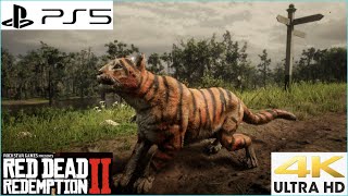 Red Dead Redemption 2 Capturing The Tiger  PS5 4K Gameplay [upl. by Haerle]