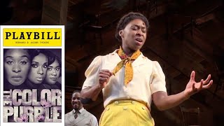 Cynthia Erivo Reprise Finale The Color Purple Musical Curtain Call 7116 [upl. by Nets6]