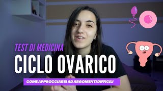 Come memorizzare il CICLO OVARICO  Test di Medicina [upl. by Deming357]