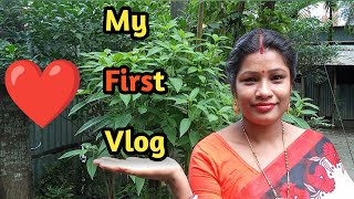 MY FIRST VLOG  আমার প্রথম ব্লগ  viral My first vlog 2024 [upl. by Ymrots845]