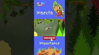 All About Insects For Kids  Importance of Insects  What are Insects   biologylesson [upl. by Diarmit]