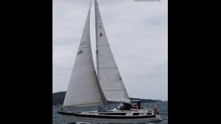 38 Chieftain Cruising Yacht  Walkthrough [upl. by Landsman]