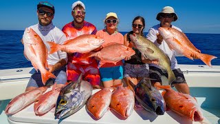 Craziest Snapper amp Grouper Fishing Catch Clean amp Cook Panama City FL [upl. by Odlaniger]