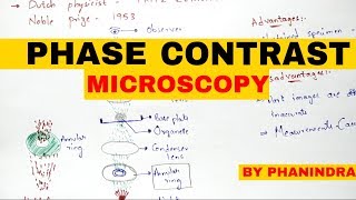 Phase contrast microscopy  Principle  Mechanism  Advantages and disadvantages [upl. by Nagek933]