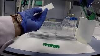 Preparation of a polyacrylamide gel   UPV [upl. by Nivad233]