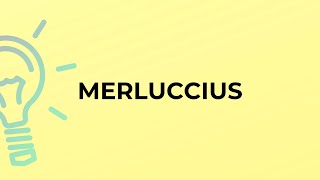 What is the meaning of the word MERLUCCIUS [upl. by Jessee683]