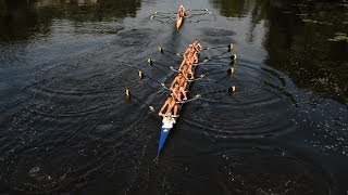 Rowing Its Good For Your Brain [upl. by Meri]