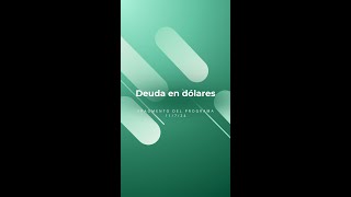 🔔 Analizamos la deuda en dólares de bonos soberanos [upl. by Oicangi536]