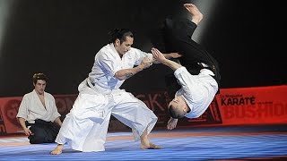 LAikido Kishinkai au 29ème Festival des Arts Martiaux [upl. by Anivram560]