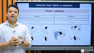 Introduction to Anatomy amp Embryology  Part 5 [upl. by Enrica]