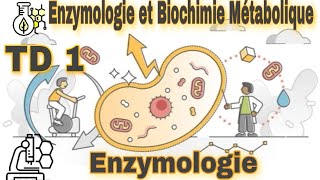 TD 1 de Enzymologie et Biochimie Métabolique bioénergitique  exercice corrigé [upl. by Theron]