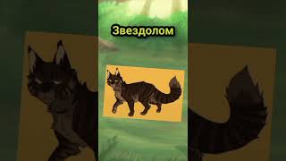 Идея не моя warriorcats эдит [upl. by Arelc30]