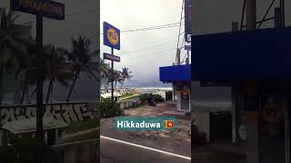 Hikkaduwa🇱🇰🐋 music food babycat varisumoviesong fruit babypet travel varisusong musicgenre [upl. by Meihar691]