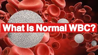 What Is Normal Range Of WBC Count  What happens if WBC count is high [upl. by Woodson]