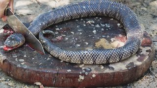 Giant Snake Soup  Delicious Big Python Boil For Food  Wilderness Food [upl. by Goeselt]