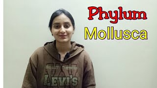 Phylum Mollusca  Biological classification part 17  Class XILecture 45 [upl. by Adyl]