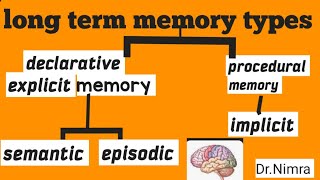 types of long term memory declarationprocedural in psychologyby Dr Nimra [upl. by Rowen4]