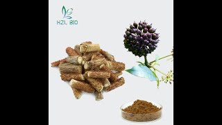 刺五加提取物Eleuthero Root Extract [upl. by Jillene]