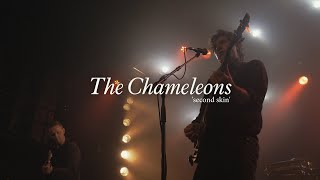 CHAMELEONS  Second Skin Live in Porto 2023 [upl. by Arabrab]