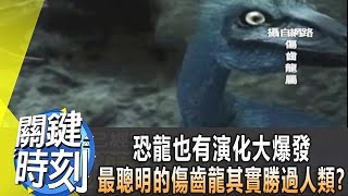 恐龍也有演化大爆發 最聰明的「傷齒龍」其實勝過人類？？ 2014年 第1845集 2300 關鍵時刻 [upl. by Aihsemaj]