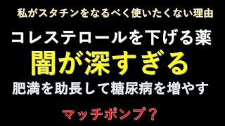 【闇が深すぎる】私がスタチンをなるべく使わない理由 [upl. by Eanwahs]