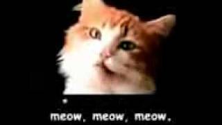 Official Meow Mix Commercial wLyrics [upl. by Lachman]